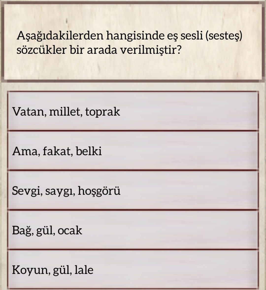 Soru Görseli